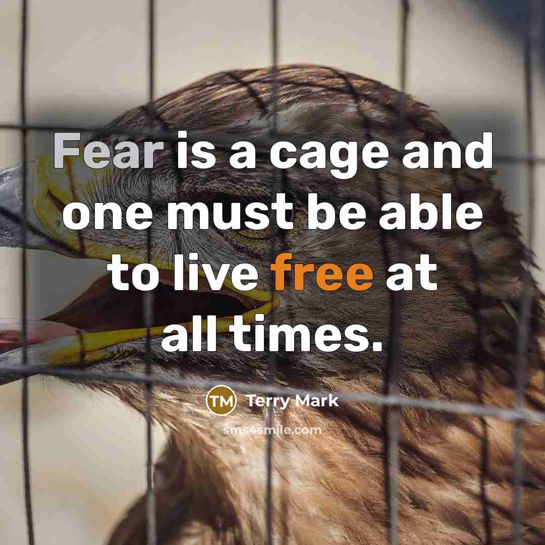 “Fear is a cage and one must be able to live free at all times.” quote by Terry Mark