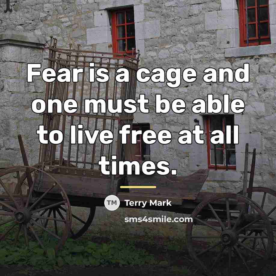 “Fear is a cage and one must be able to…” quote by Terry Mark
