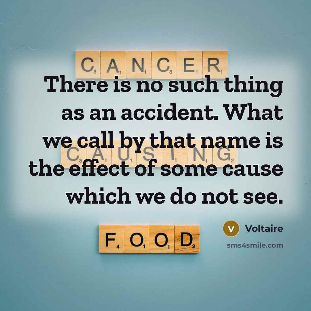 “There is no such thing as an accident. What we…” quote by Voltaire