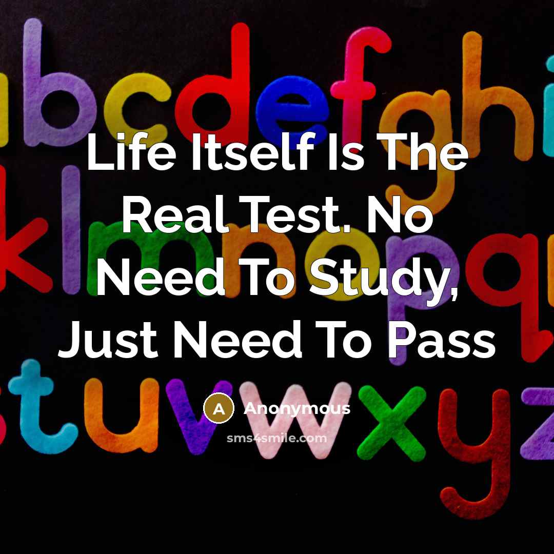 “Life Itself Is The Real Test. No Need To Study, Just Need To Pass” quote by Anonymous