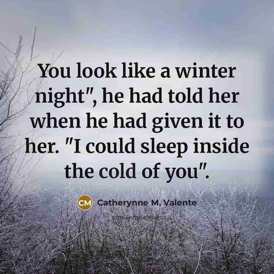 “You look like a winter night", he had told her…” quote by Catherynne M. Valente
