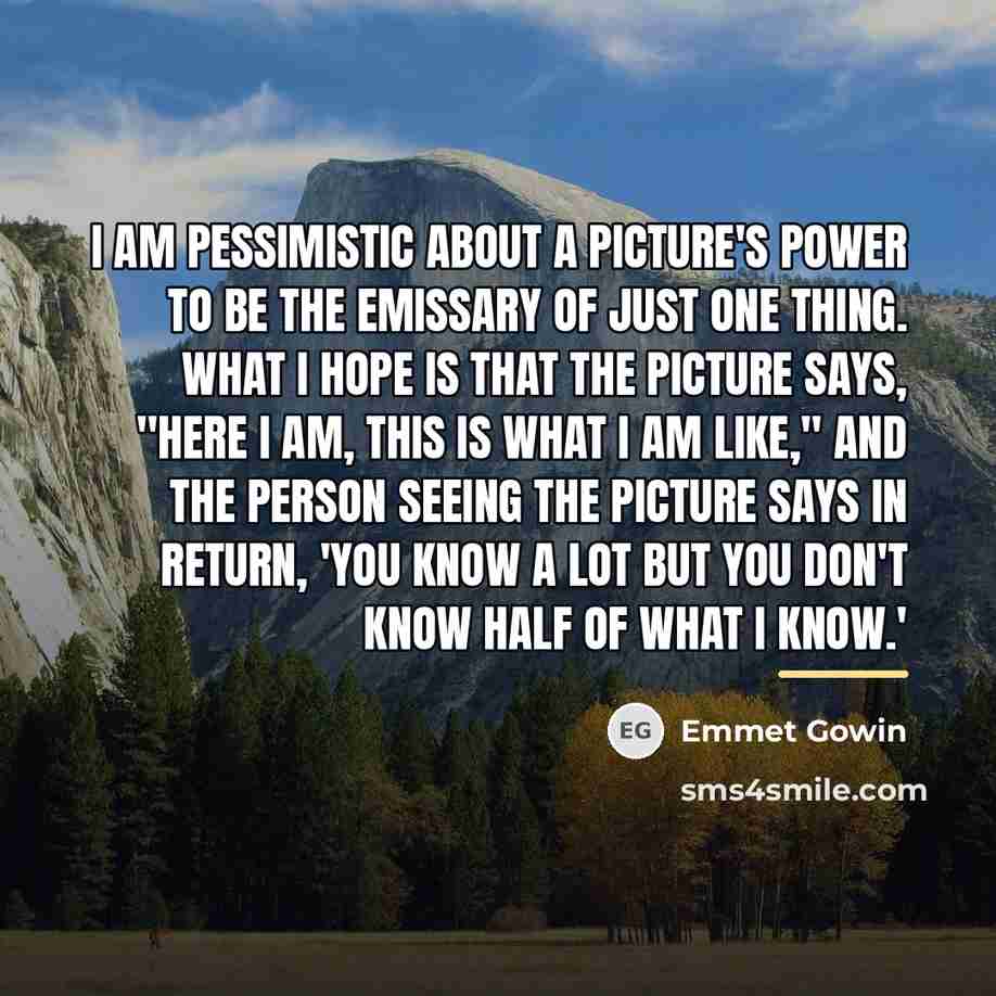 “I am pessimistic about a picture's power to be the…” quote by Emmet Gowin