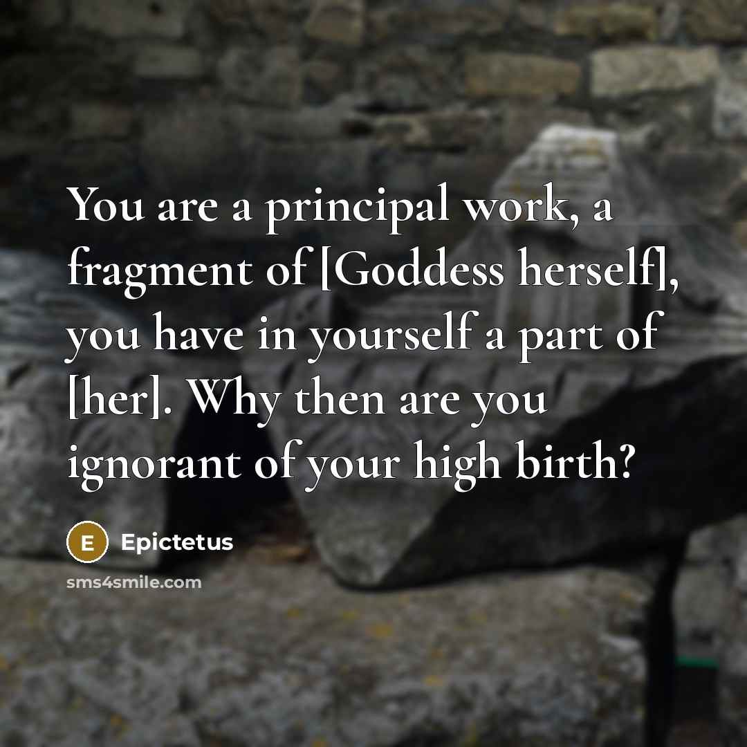 “You are a principal work, a fragment of [Goddess herself],…” quote by Epictetus