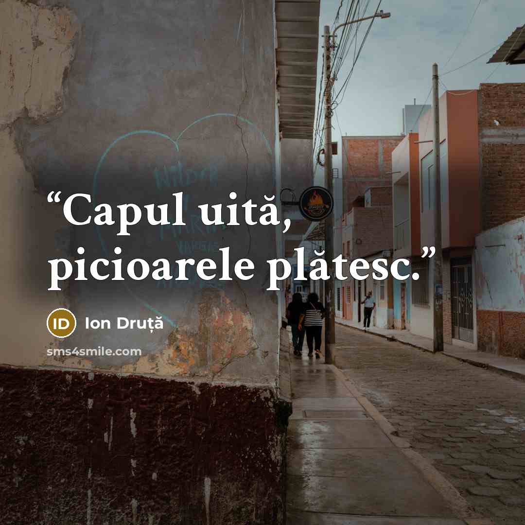 “Capul uită, picioarele plătesc.” quote by Ion Druță