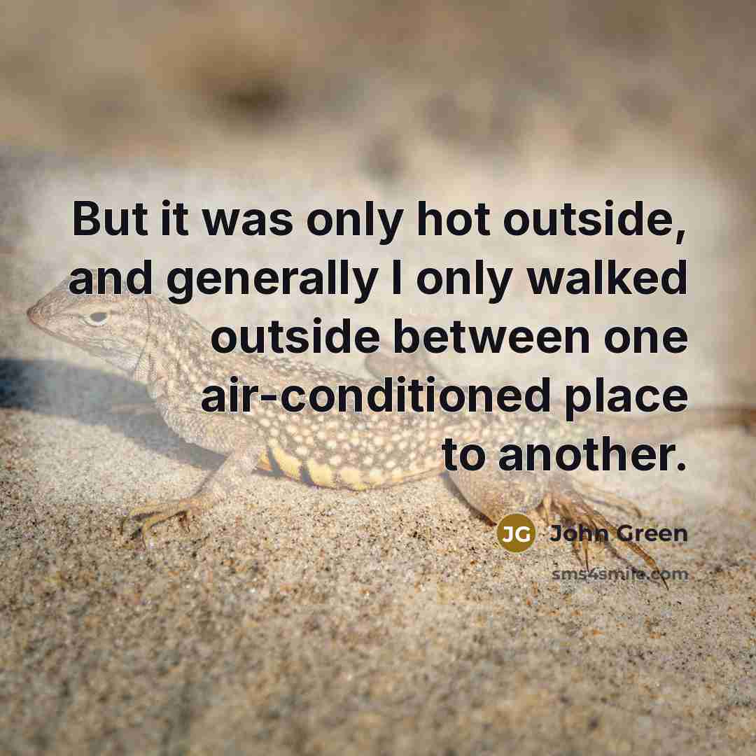 “But it was only hot outside, and generally I only…” quote by John Green