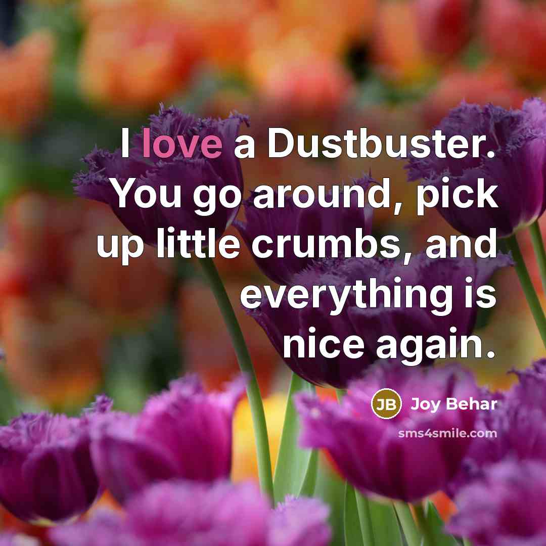 “I love a Dustbuster. You go around, pick up little…” quote by Joy Behar