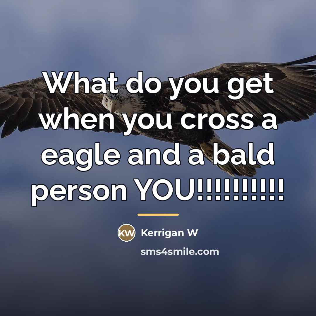 “What do you get when you cross a eagle and…” quote by Kerrigan W