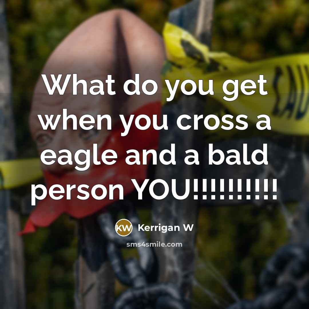 “What do you get when you cross a eagle and a bald person YOU!!!!!!!!!!” quote by Kerrigan W