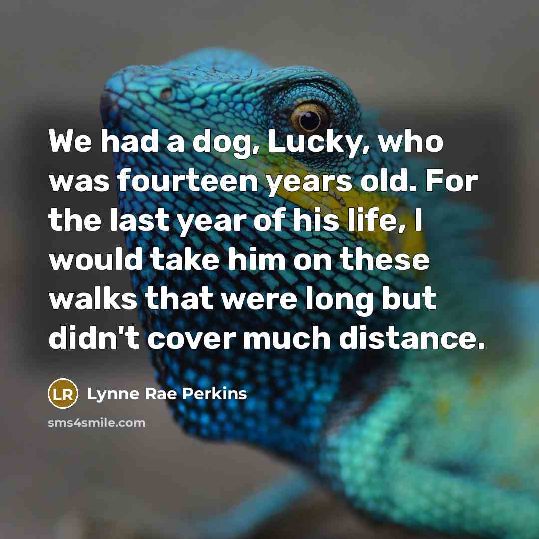“We had a dog, Lucky, who was fourteen years old. For the last year of his life, I would take him on these walks that were long but didn't cover much distance.” quote by Lynne Rae Perkins