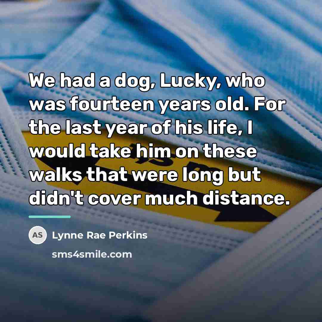 “We had a dog, Lucky, who was fourteen years old.…” quote by Lynne Rae Perkins