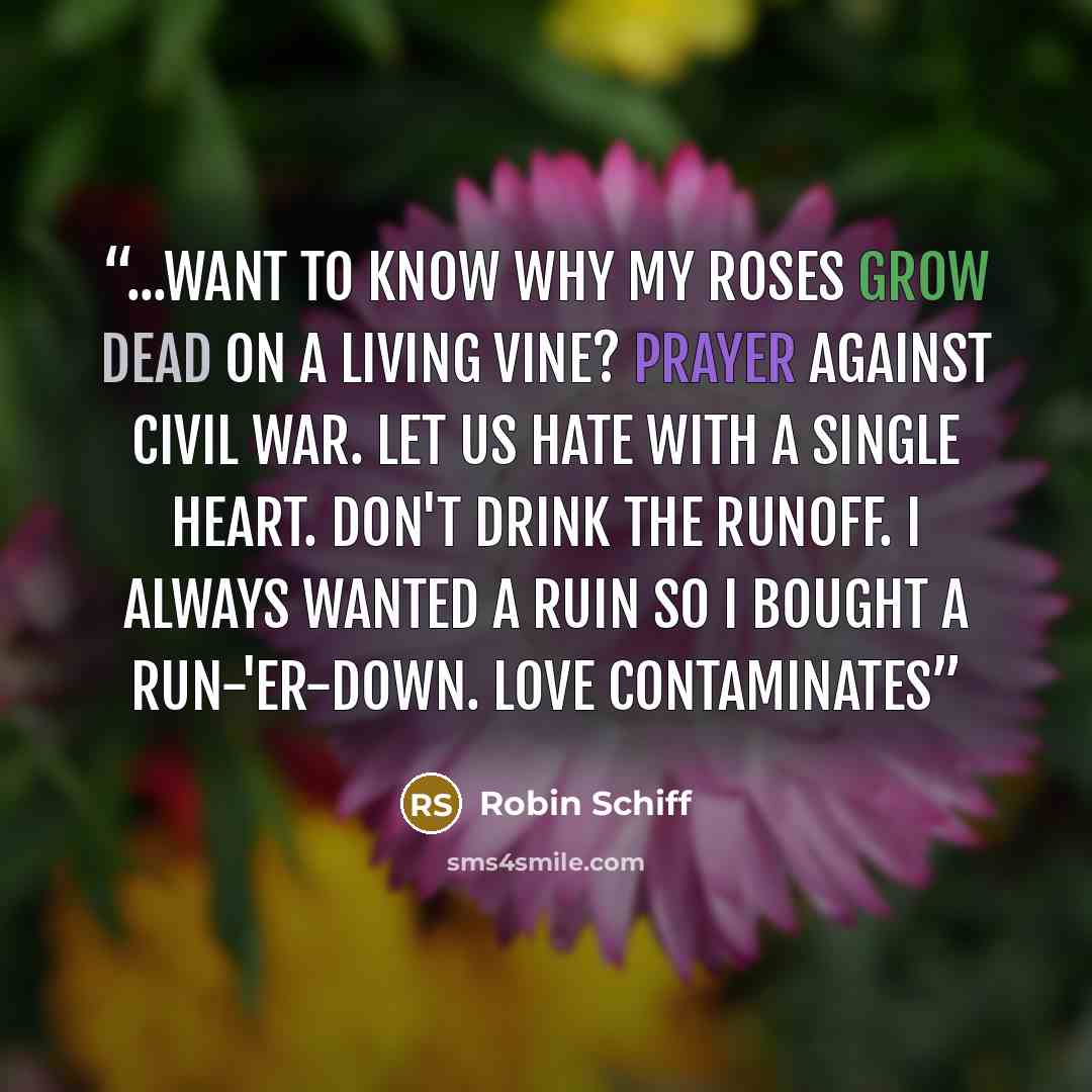 “...Want to know why my roses grow dead on a living vine? Prayer against civil war. Let us hate with a single heart. Don't drink the runoff. I always wanted a ruin so I bought a run-'er-down. Love contaminates” quote by Robin Schiff