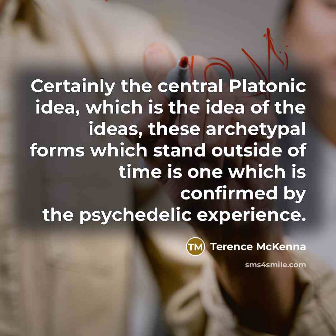 “Certainly the central Platonic idea, which is the idea of…” quote by Terence McKenna
