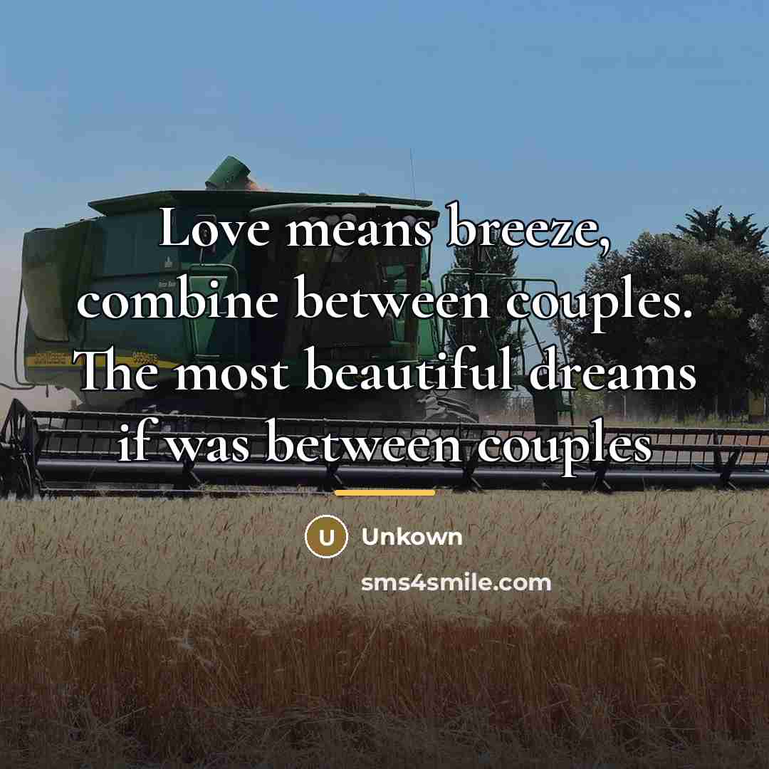 “Love means breeze, combine between couples. The most beautiful dreams…” quote by Unkown