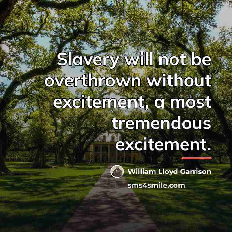 “Slavery will not be overthrown without excitement, a most tremendous…” quote by William Lloyd Garrison