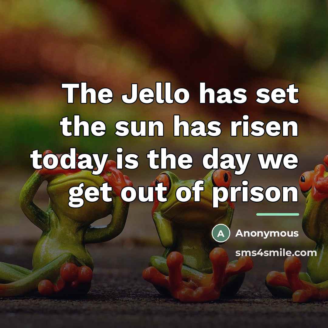 “The Jello has set the sun has risen today is…” quote by Anonymous