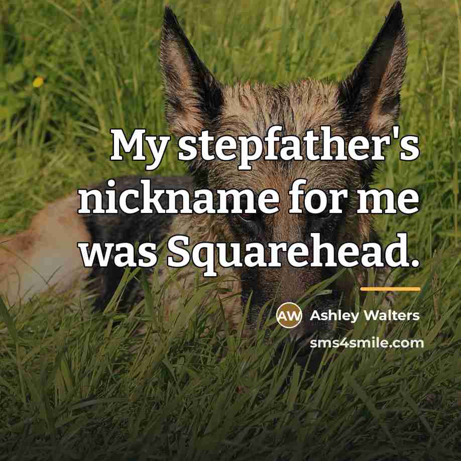 “My stepfather's nickname for me was Squarehead.…” quote by Ashley Walters