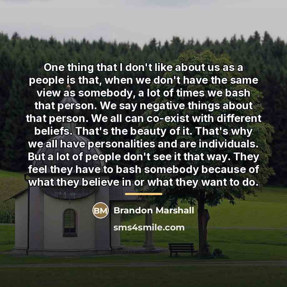 “One thing that I don't like about us as a…” quote by Brandon Marshall