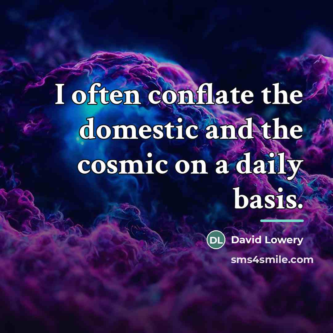 “I often conflate the domestic and the cosmic on a…” quote by David Lowery