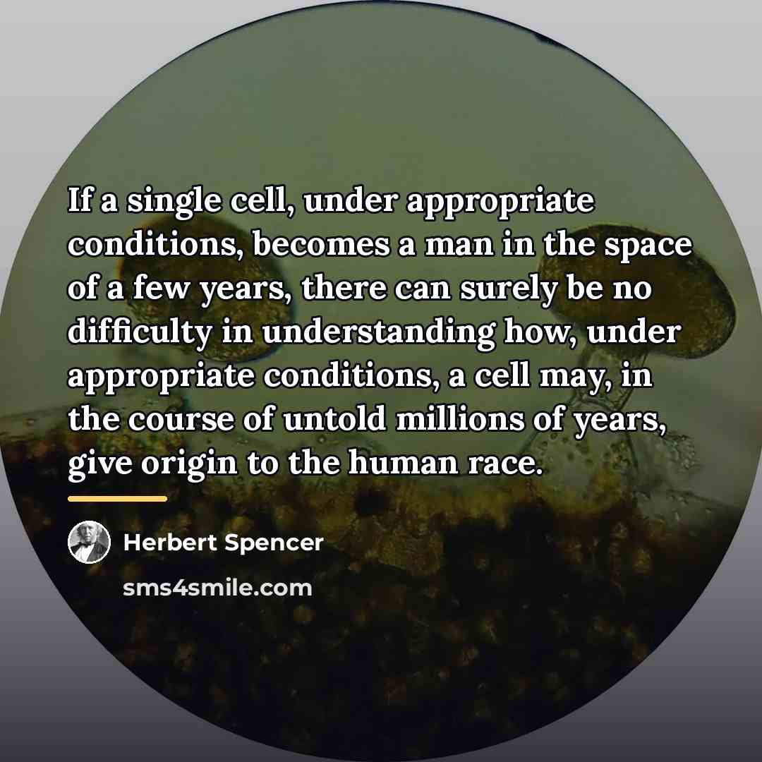 “If a single cell, under appropriate conditions, becomes a man…” quote by Herbert Spencer