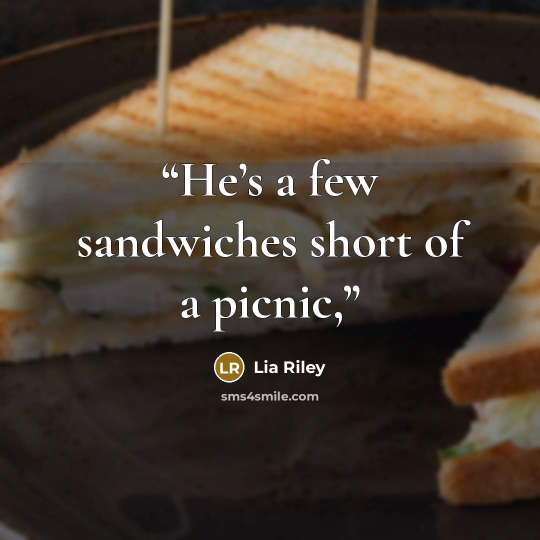 “He’s a few sandwiches short of a picnic,” quote by Lia Riley