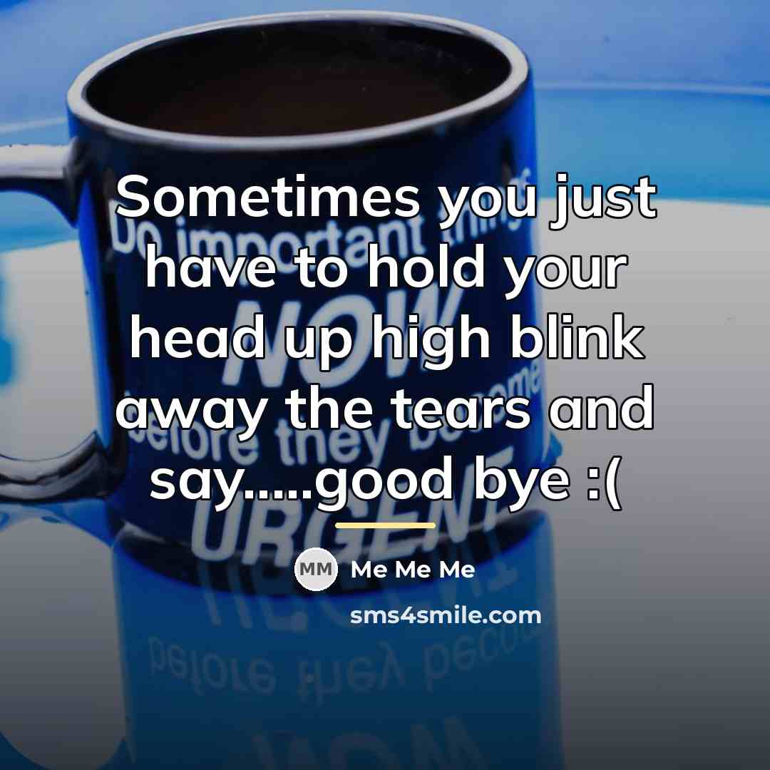 “Sometimes you just have to hold your head up high…” quote by Me Me Me