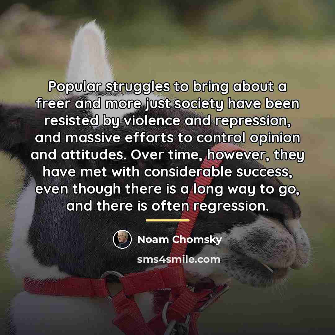 “Popular struggles to bring about a freer and more just…” quote by Noam Chomsky