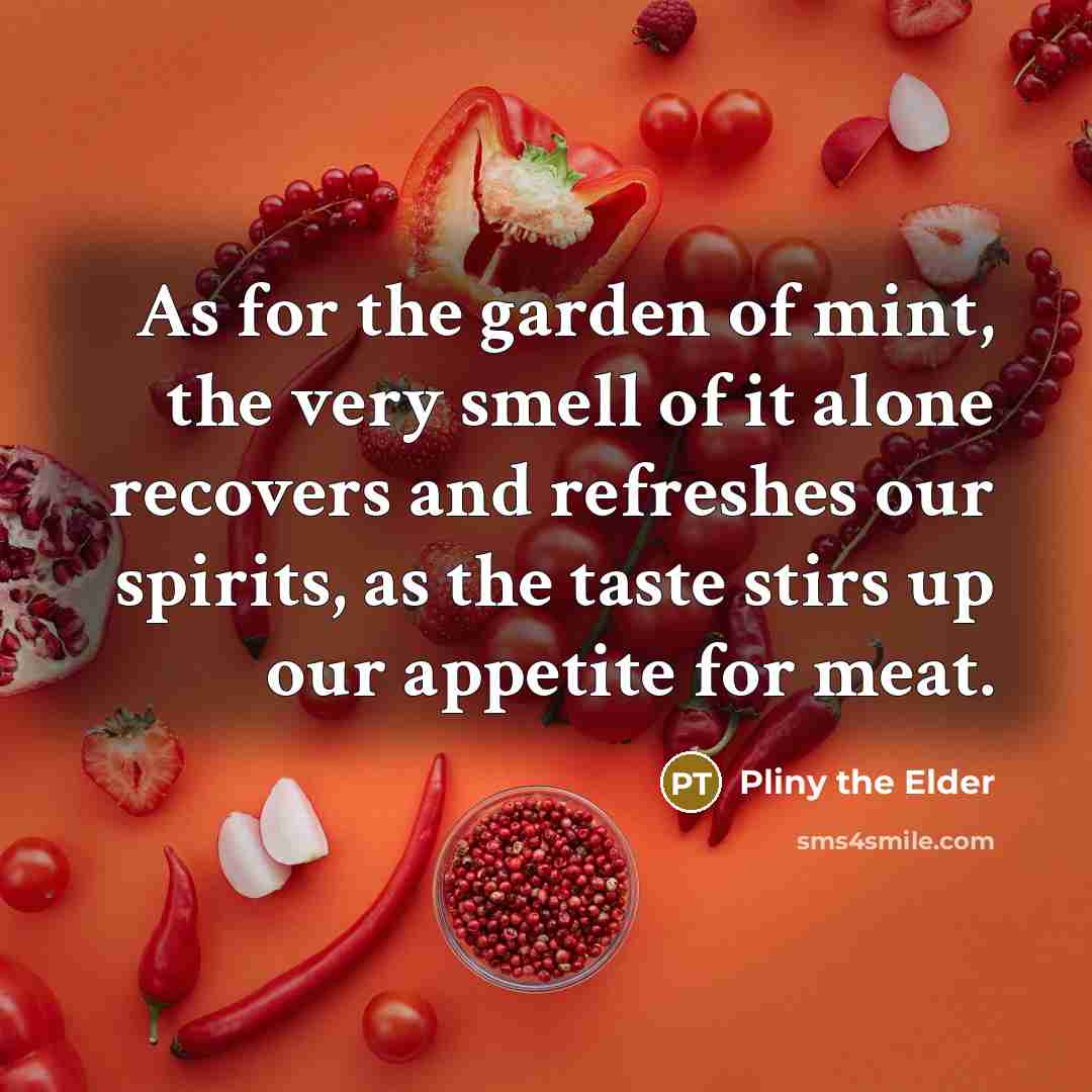 “As for the garden of mint, the very smell of…” quote by Pliny the Elder