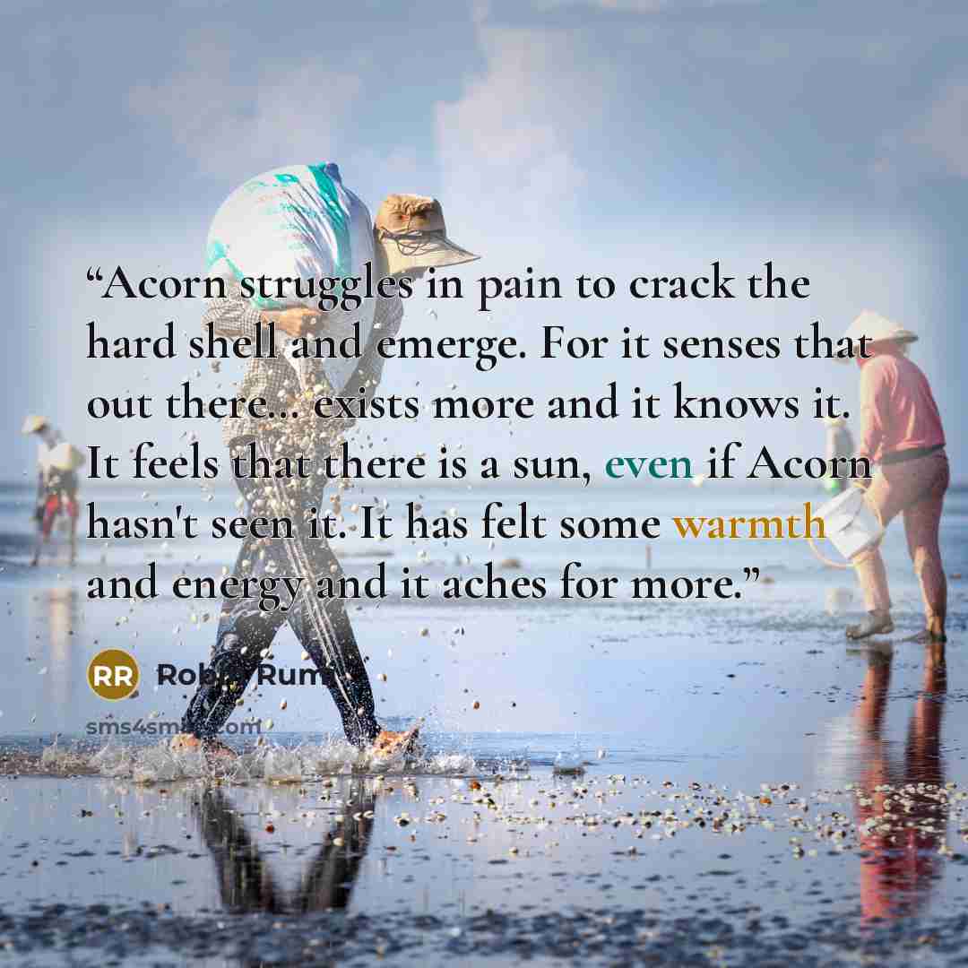 “Acorn struggles in pain to crack the hard shell and emerge. For it senses that out there… exists more and it knows it. It feels that there is a sun, even if Acorn hasn't seen it. It has felt some warmth and energy and it aches for more.” quote by Robin Rumi