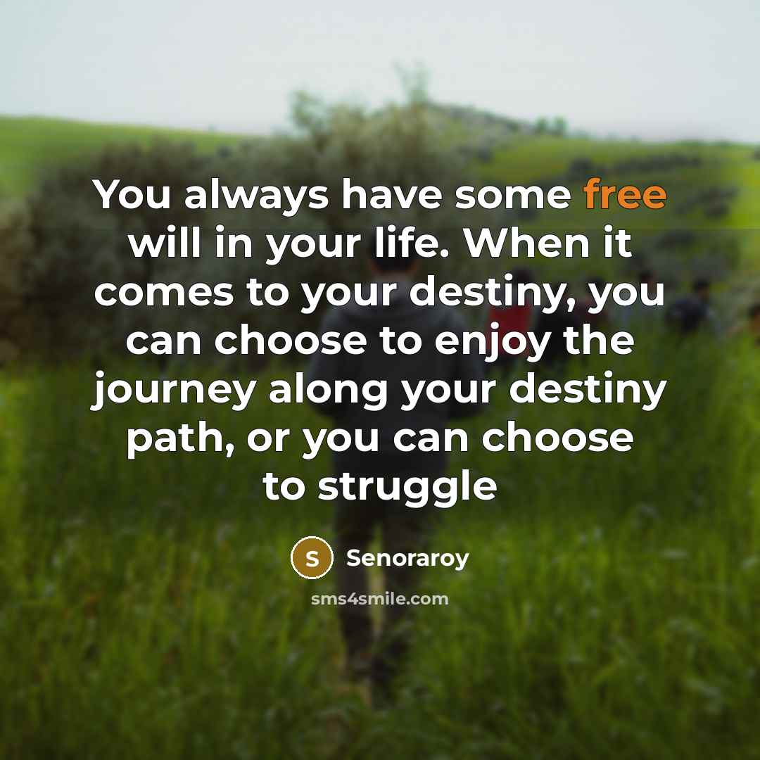 “You always have some free will in your life. When…” quote by Senoraroy