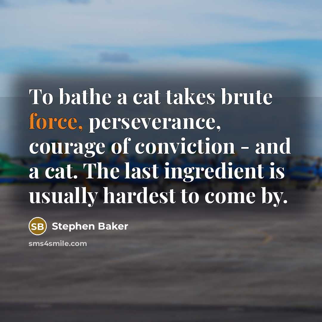 “To bathe a cat takes brute force, perseverance, courage of…” quote by Stephen Baker
