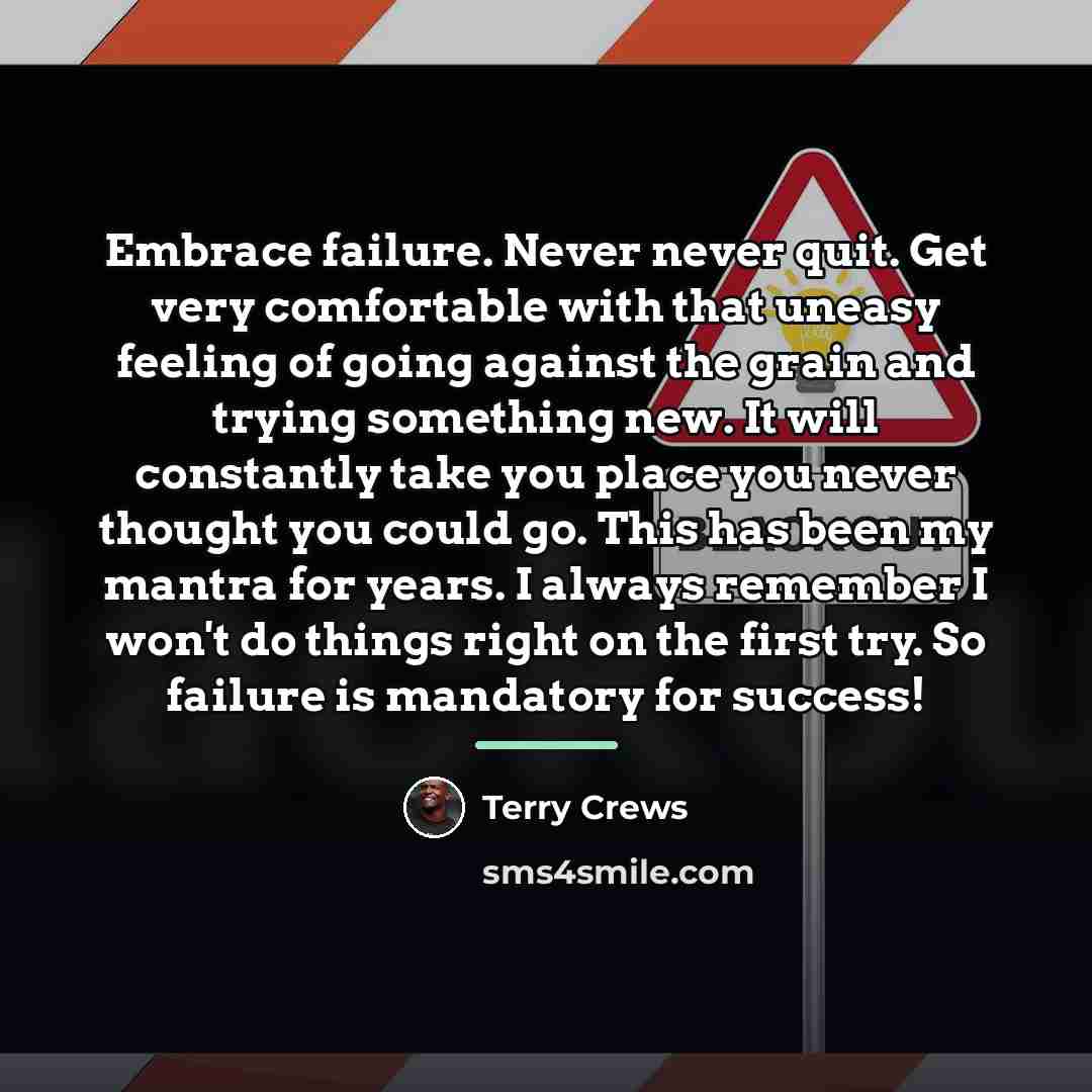 “Embrace failure. Never never quit. Get very comfortable with that…” quote by Terry Crews