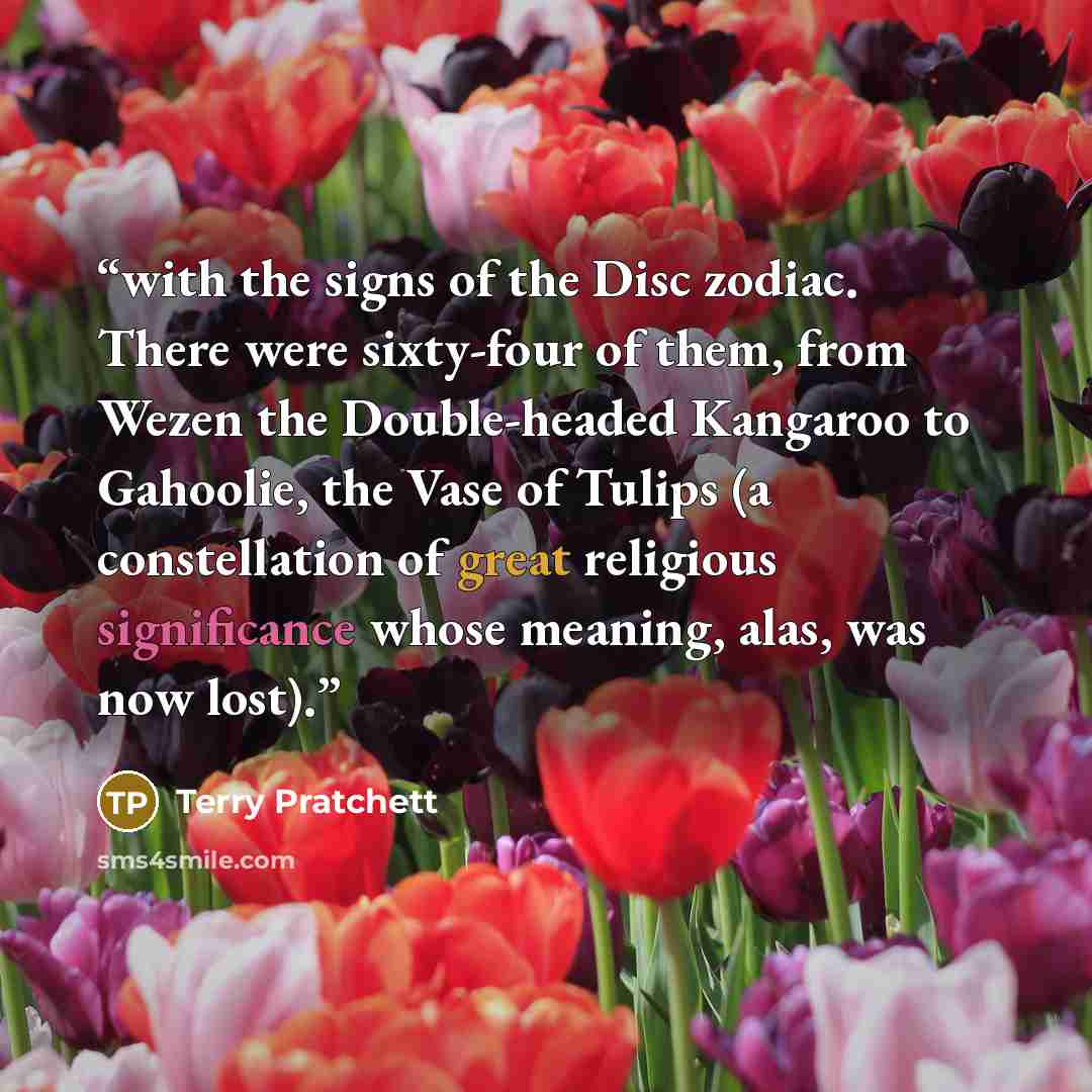 “with the signs of the Disc zodiac. There were sixty-four of them, from Wezen the Double-headed Kangaroo to Gahoolie, the Vase of Tulips (a constellation of great religious significance whose meaning, alas, was now lost).” quote by Terry Pratchett