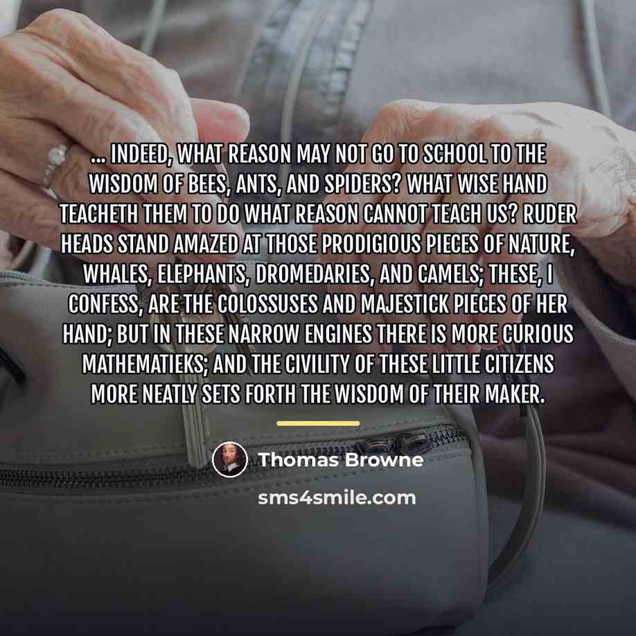 “... indeed, what reason may not go to school to…” quote by Thomas Browne