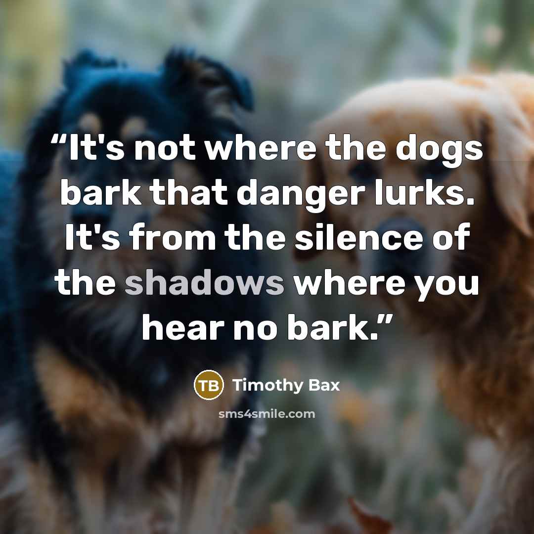 “It's not where the dogs bark that danger lurks. It's from the silence of the shadows where you hear no bark.” quote by Timothy Bax