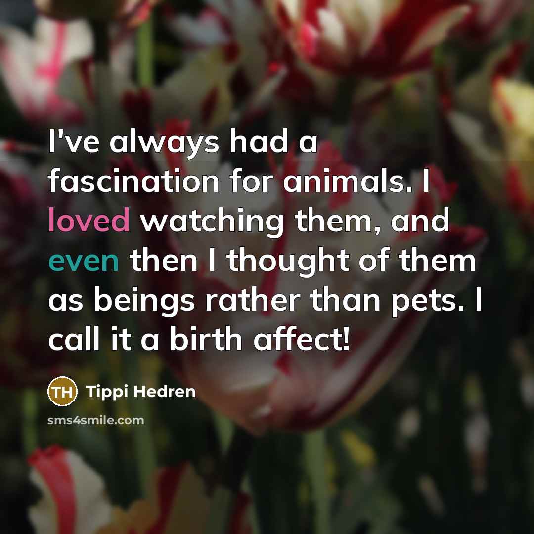 “I've always had a fascination for animals. I loved watching…” quote by Tippi Hedren