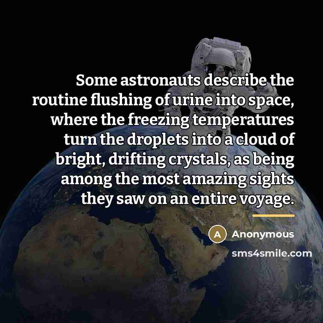 “Some astronauts describe the routine flushing of urine into space,…” quote by Anonymous