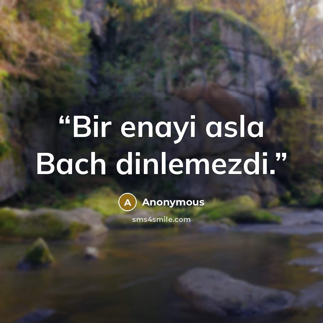“Bir enayi asla Bach dinlemezdi.” quote by Anonymous