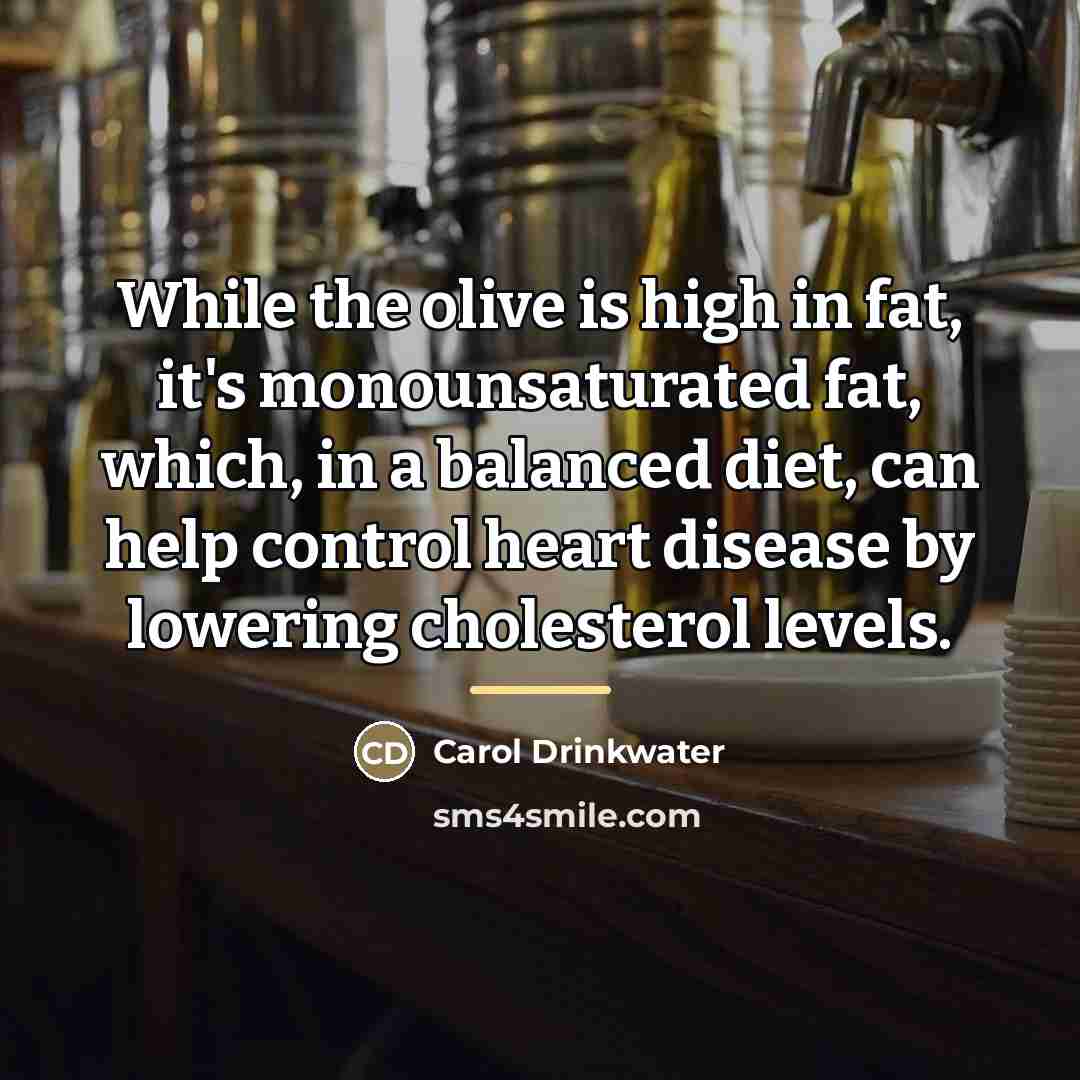 “While the olive is high in fat, it's monounsaturated fat,…” quote by Carol Drinkwater