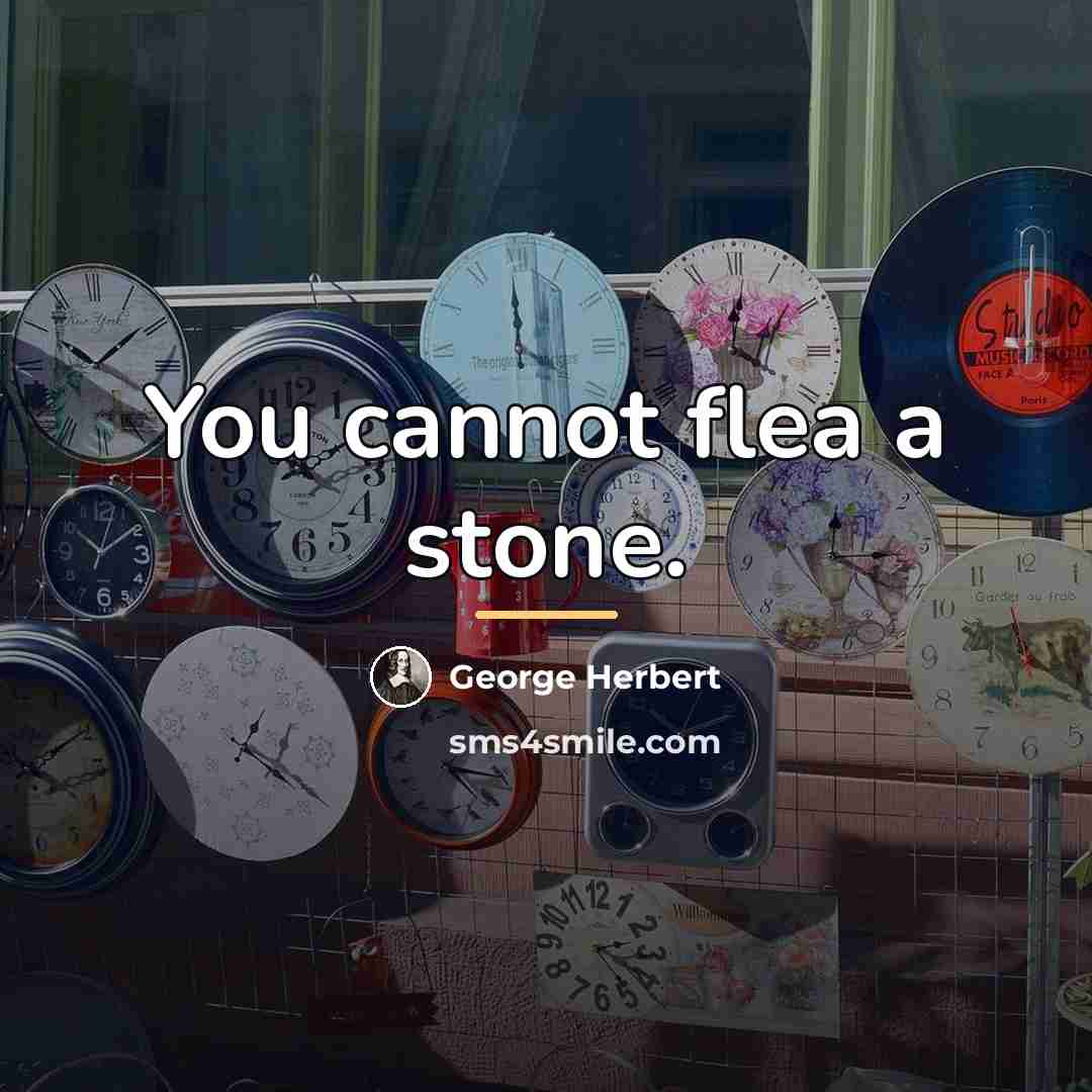 “You cannot flea a stone.…” quote by George Herbert