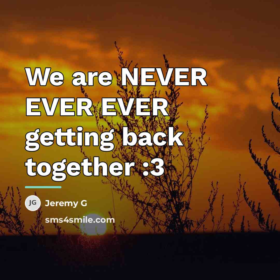 “We are NEVER EVER EVER getting back together :3…” quote by Jeremy G