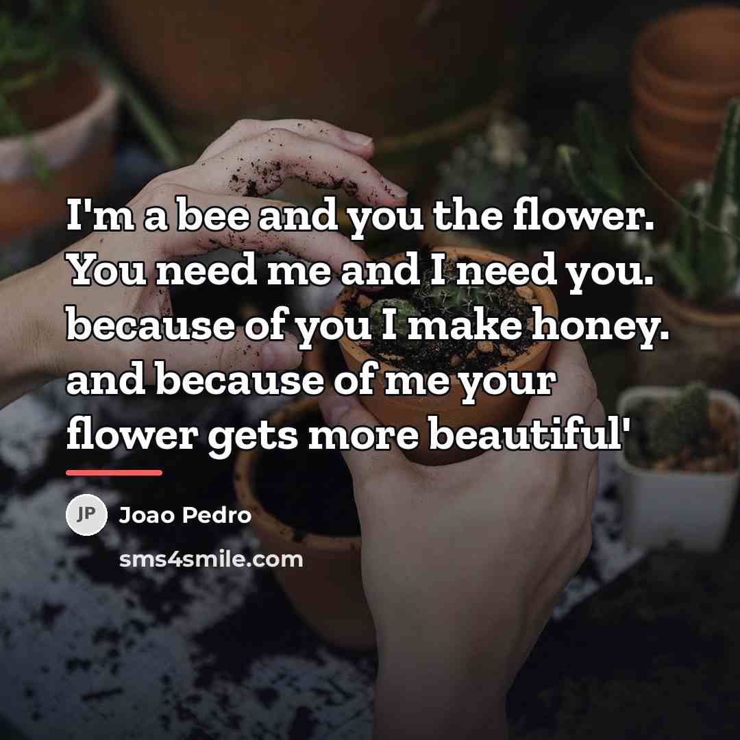 “I'm a bee and you the flower. You need me…” quote by Joao Pedro