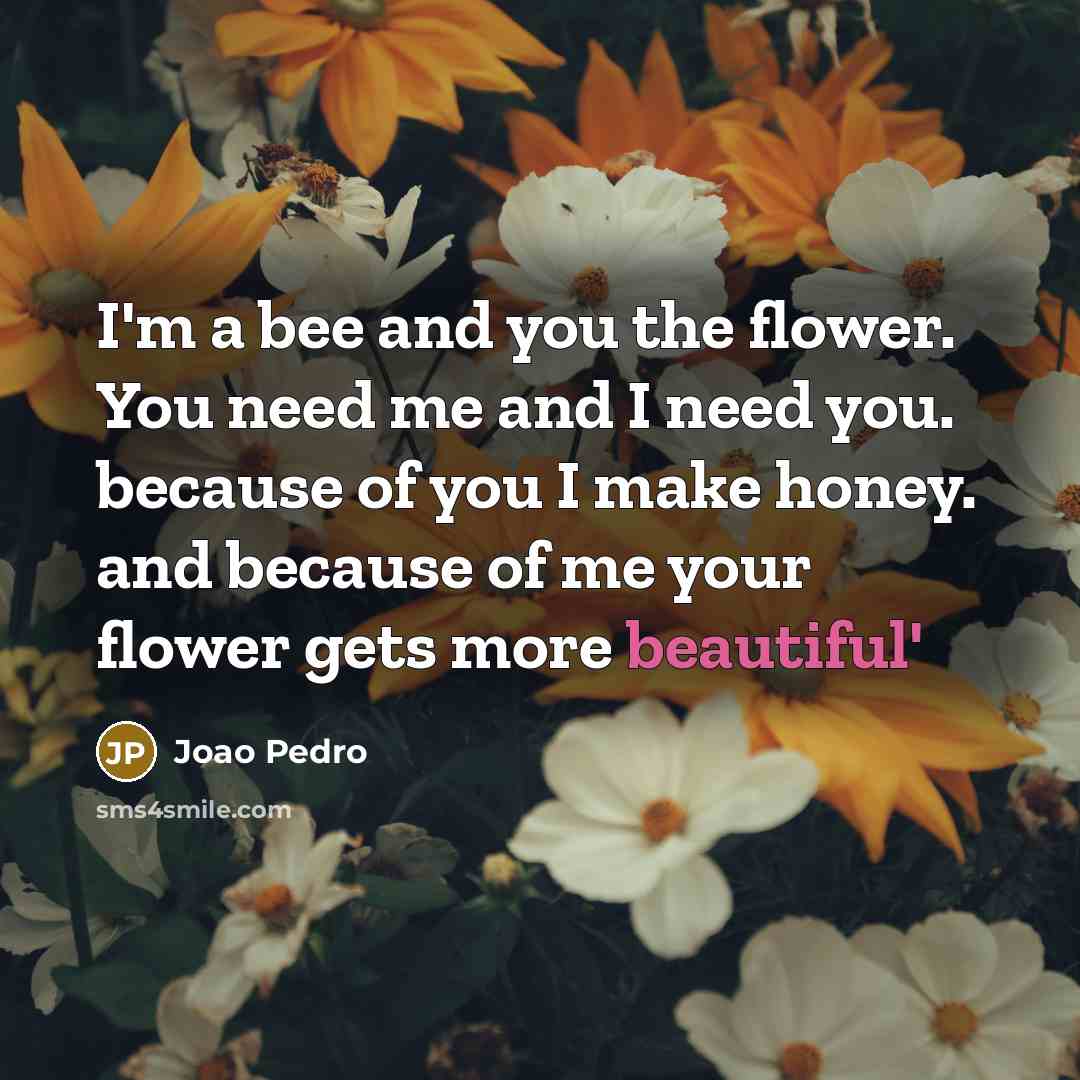 “I'm a bee and you the flower. You need me and I need you. because of you I make honey. and because of me your flower gets more beautiful'” quote by Joao Pedro