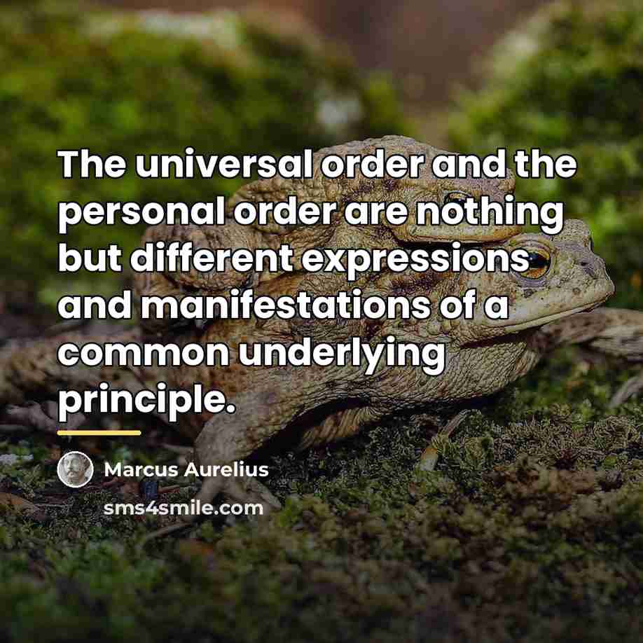 “The universal order and the personal order are nothing but…” quote by Marcus Aurelius
