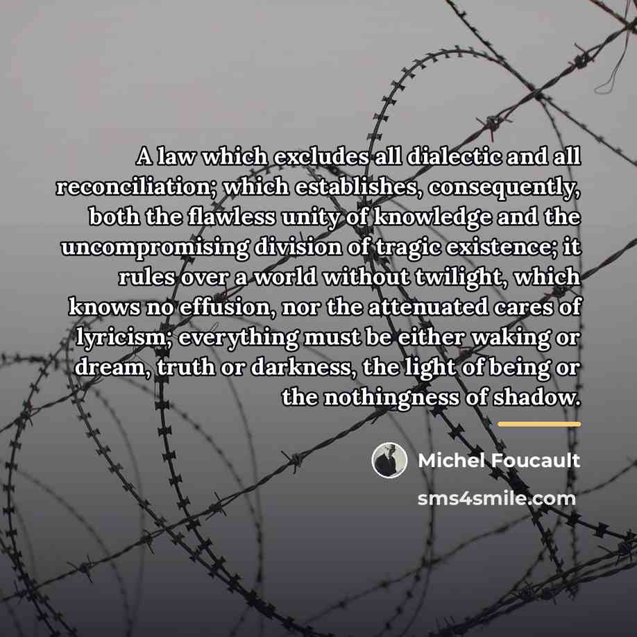 “A law which excludes all dialectic and all reconciliation; which…” quote by Michel Foucault