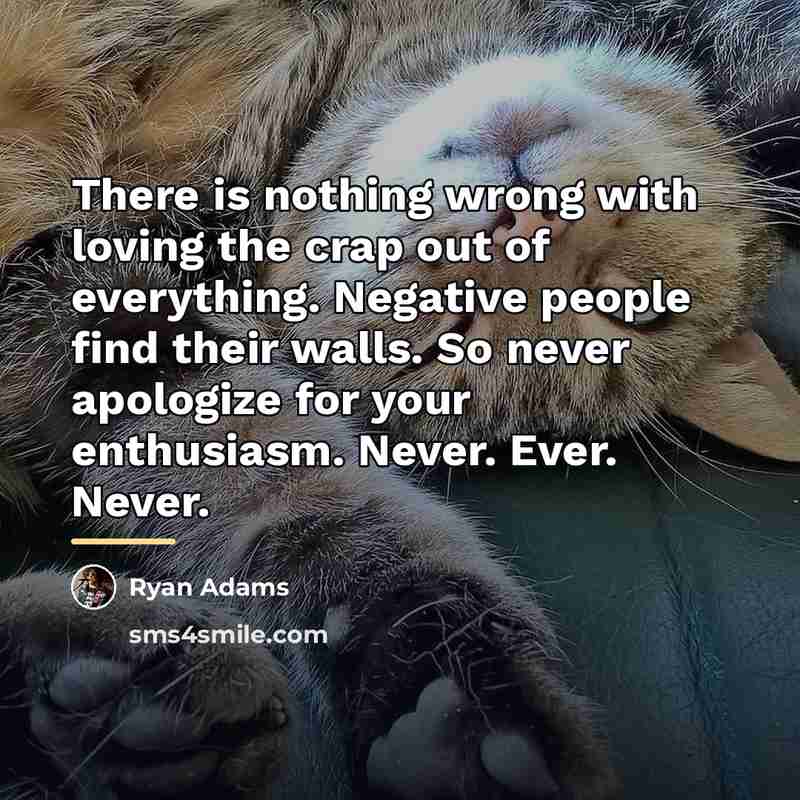 “There is nothing wrong with loving the crap out of…” quote by Ryan Adams