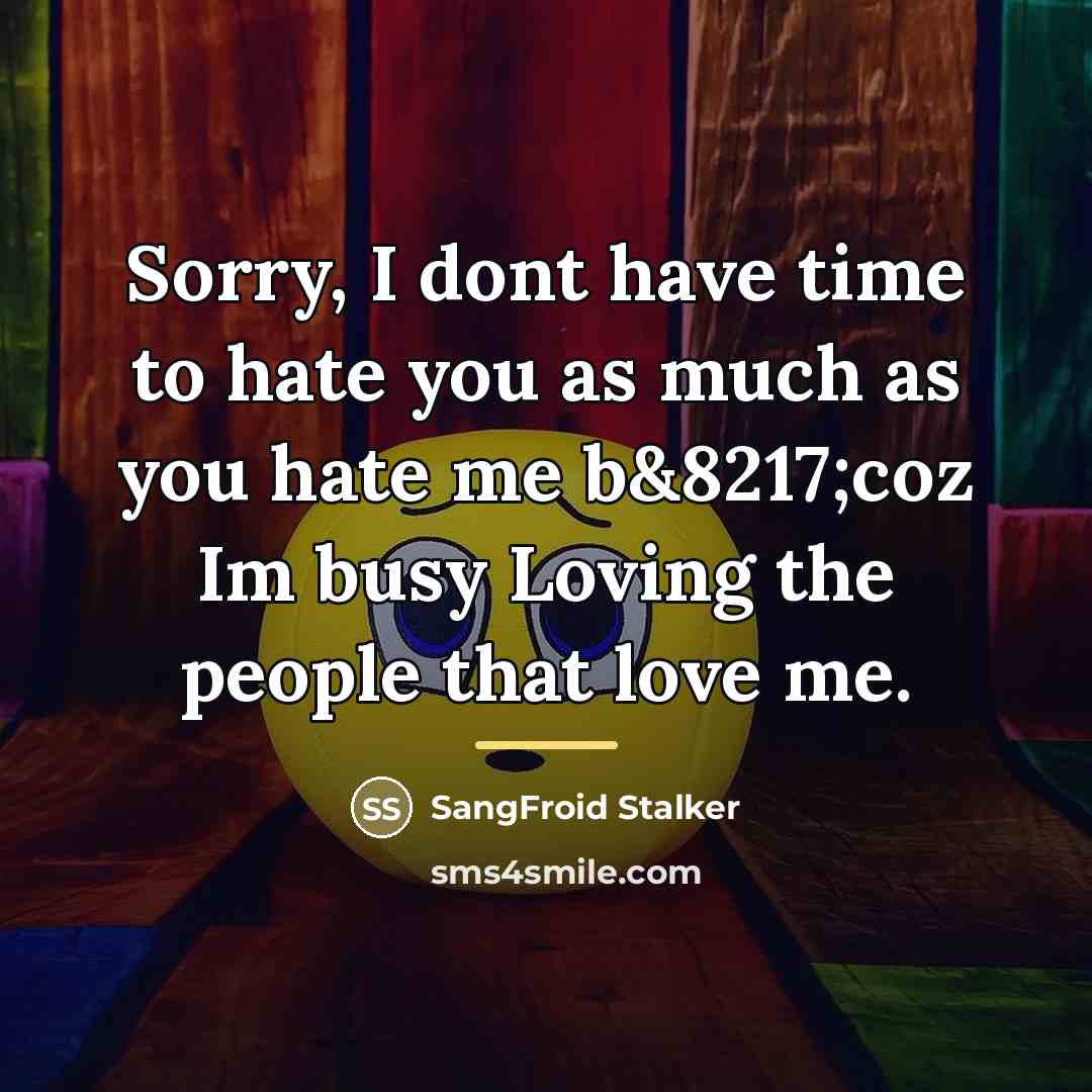 “Sorry, I dont have time to hate you as much…” quote by SangFroid Stalker