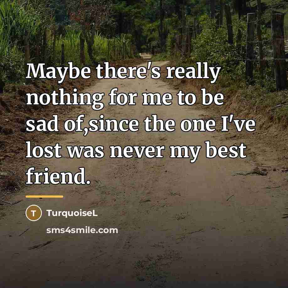 “Maybe there's really nothing for me to be sad of,since…” quote by TurquoiseL