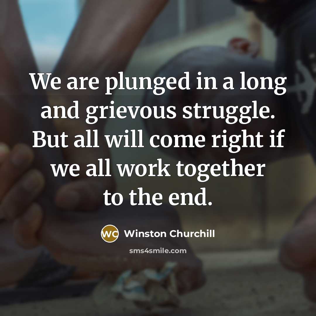 “We are plunged in a long and grievous struggle. But…” quote by Winston Churchill