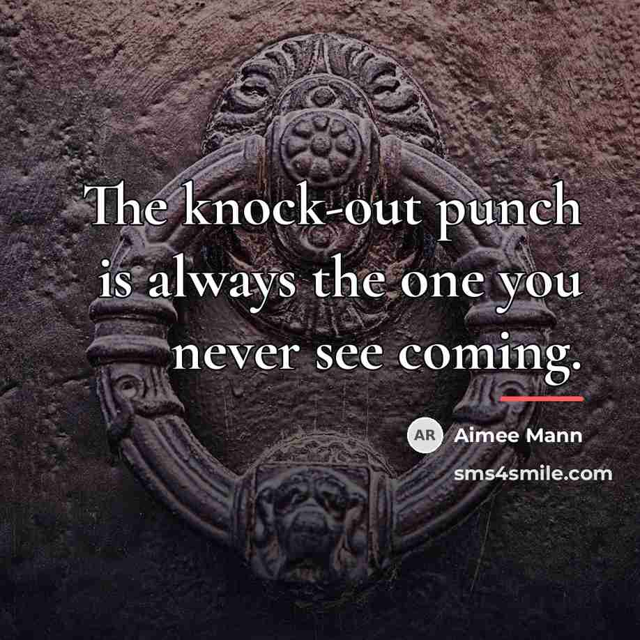 “The knock-out punch is always the one you never see…” quote by Aimee Mann