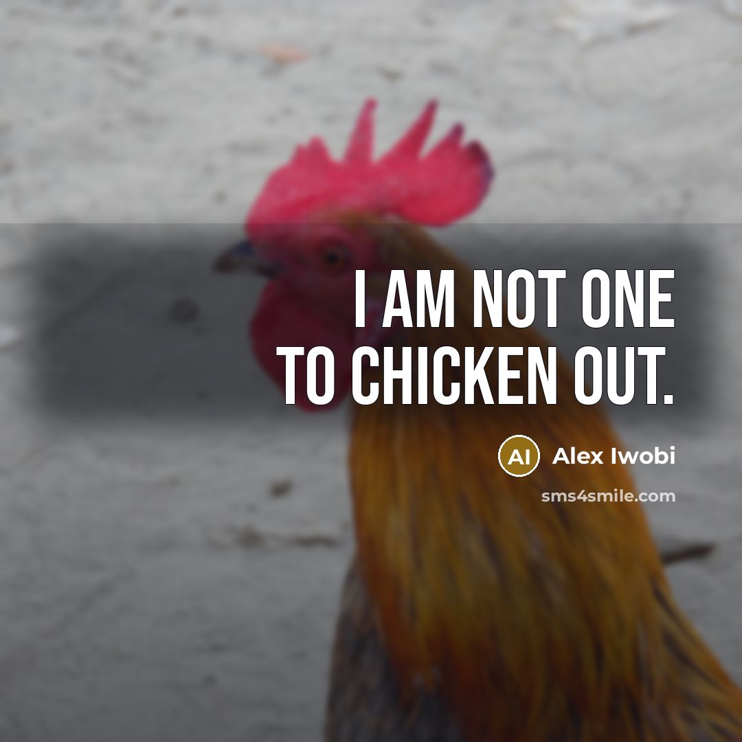 “I am not one to chicken out.…” quote by Alex Iwobi